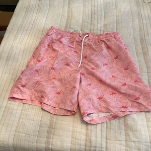 Pink flamingo swim trunks